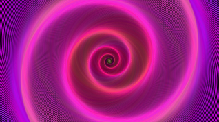 Rosa spiral
