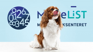 En hund som slikker seg rundt munnen. Hunden sitter foran MatteLIST-logoen.